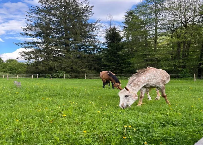 Apartamento Ianni Santa Maria Maggiore